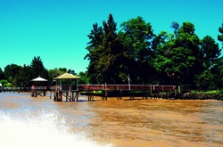 rio lujan en el delta-buenos aires