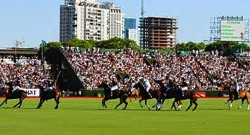 partido de polo en buenos aires